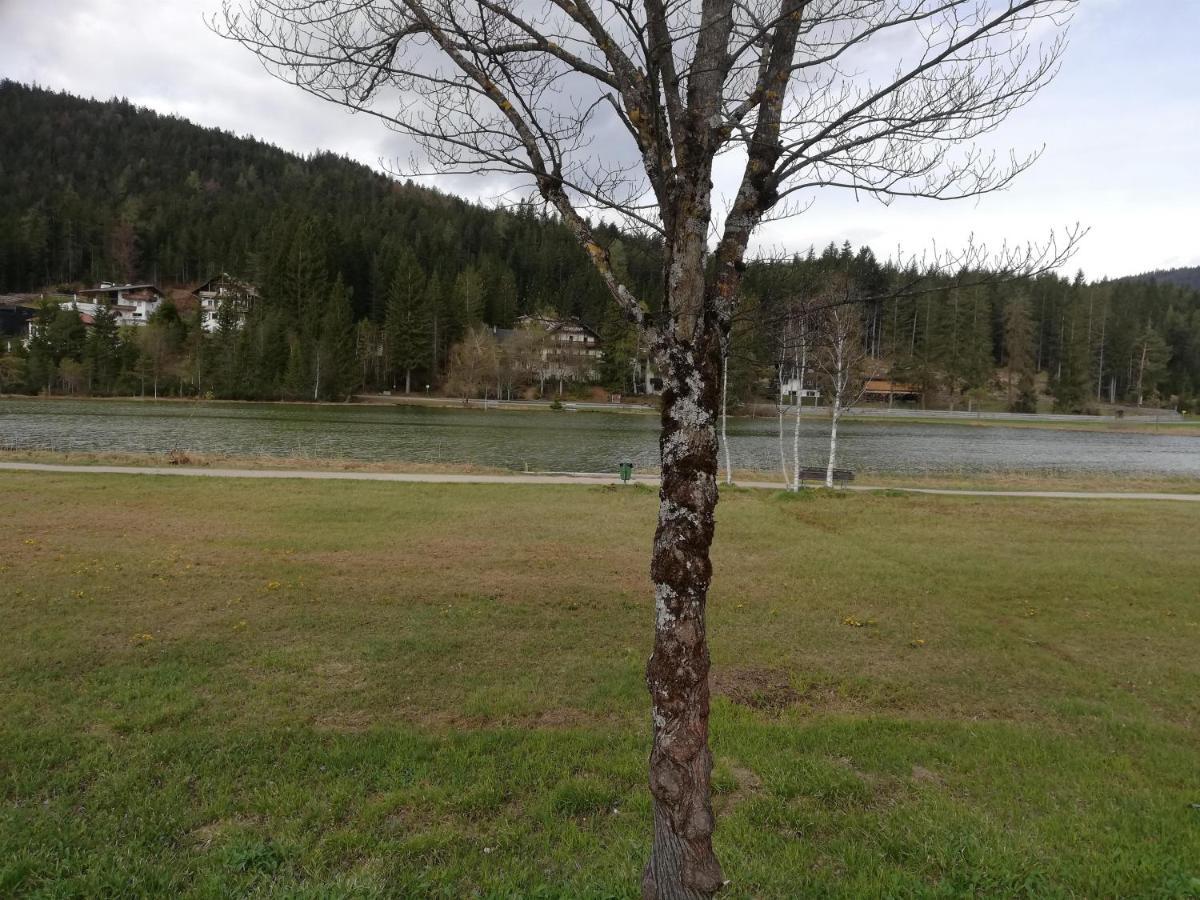 Ferienwohnung Am Waldweg كولساس المظهر الخارجي الصورة